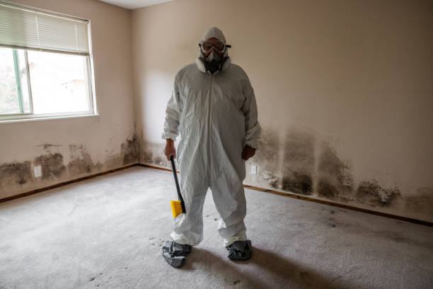 Asbestos and Lead Testing During Mold Inspection in Stanton, NE